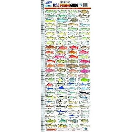 Afn Fish Guide Ruler Florida Usa AC5000